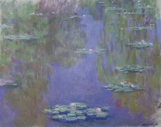Lekníny, 1903
